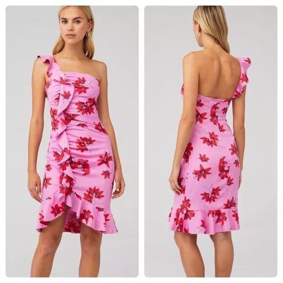 Likely Lois Dress One Shoulder Ruffle Pink Red Floral Print Sz 2 Summer Wedding - Picture 1 of 6